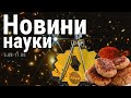 Безпілотник показує документи, нова хвороба та нескінченна котлета | Новини науки