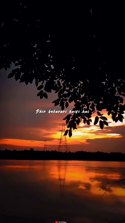 Dekha hazaro dafa aapko | lyrics video status| love | #lyrics #aesthetic #music #love #calm #shorts