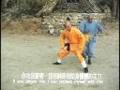 Shaolin Kung Fu: Iron Testicles