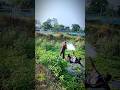 fishing electric fun and Entertainment 🦈🤣 #funny #justfunnyvideo #comedy ##foryou #fyp