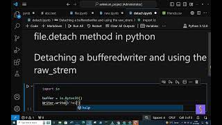 (SY) file detach() method in python