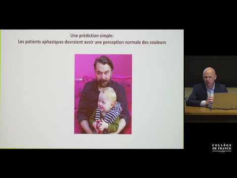 L'influence du langage et des symboles sur la perception... (4) - Stanislas Dehaene (2020-2021)