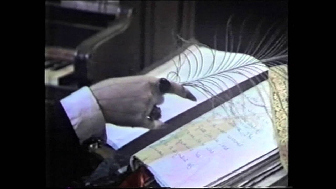 Monster Movie Matinee clip