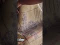 از 0تا 100مرغ کرچ و جوجه کشیدن مرغ کرچ مرغداری دان مرغ ایرانچیک جوجه کشی گلین جوجه کرچ مرغ