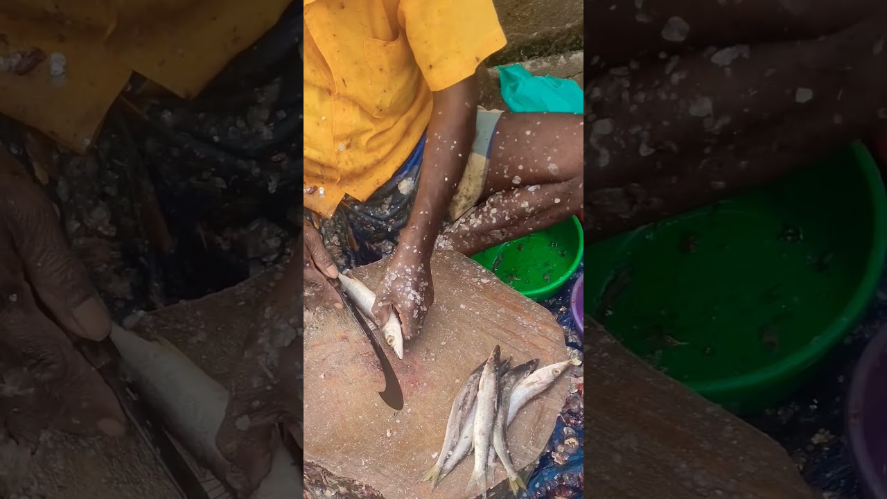 Fresh sheela meen fish cutting 