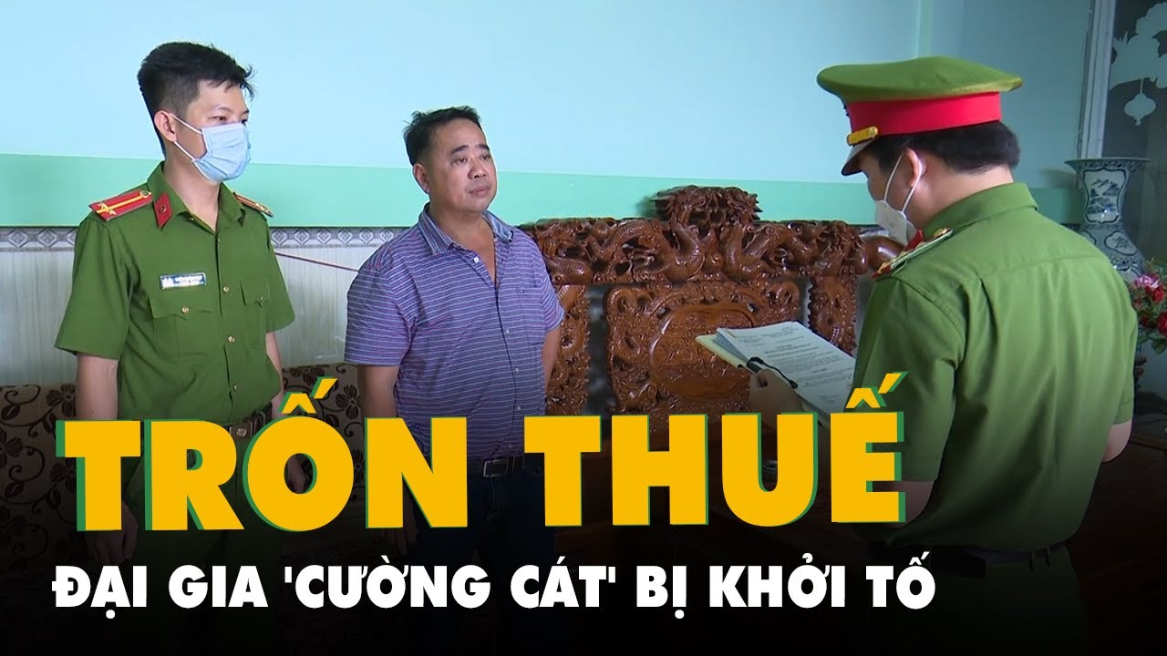 Trốn thuế hơn 19 tỉ đồng, đại gia 'Cường cát' ở An... - youtube