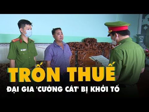 Video Trốn thuế hơn 19 tỉ đồng, đại gia 'Cường cát' ở An... - youtube