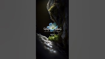 (ربنا فاغفر لنا ذنوبنا) القارئ: محمد الغزالي #اكسبلور #القران #دويتو #لايك
