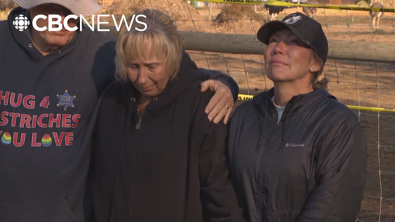 Ostriches granted stay of execution by Supreme Court of Canada