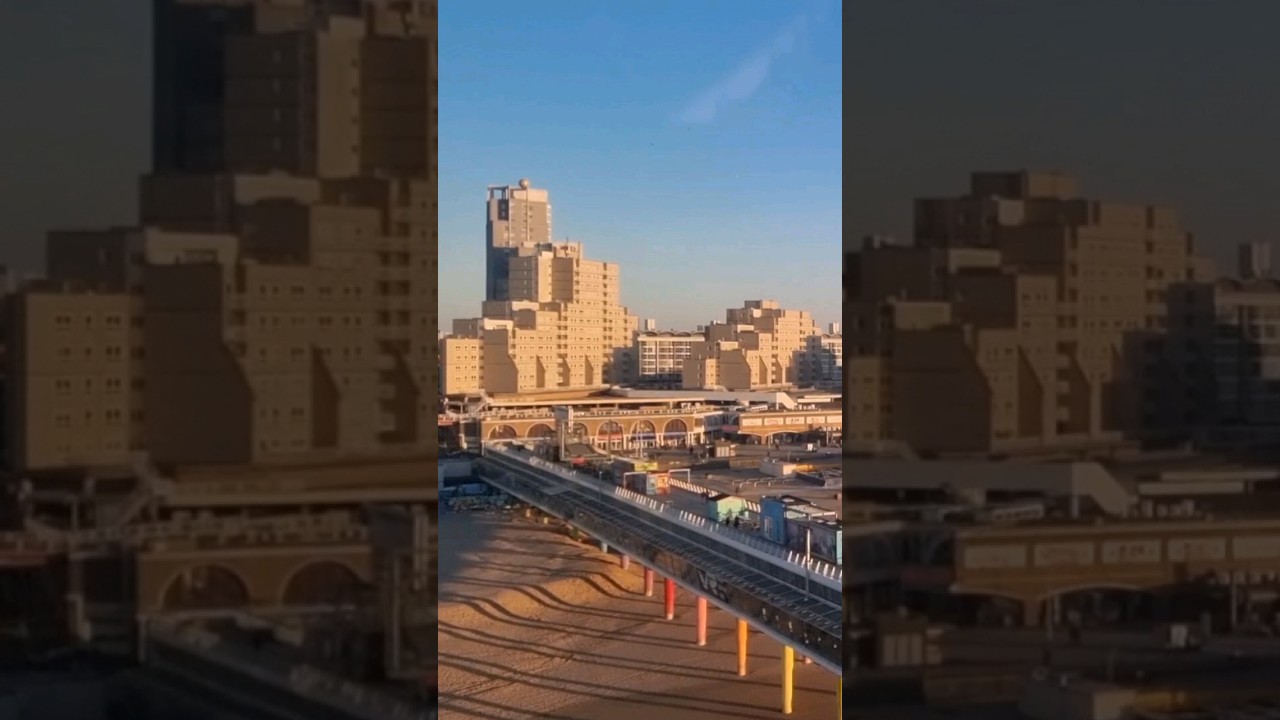 Scheveningen de Pier 