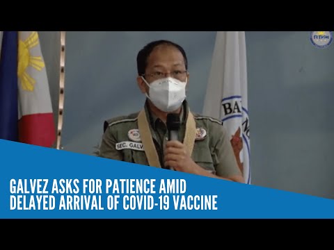 Galvez asks for patience amid delayed arrival of Covid-19 vaccine