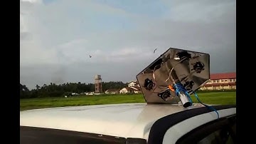 Calling Swiftlet The Right Sound