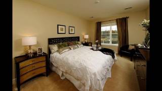 The View at Mill Run | Spacious Apartments for Rent
