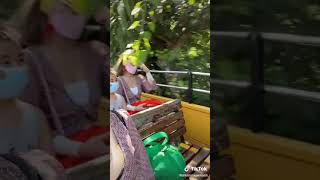 Vania Gemash So Beautiful 5