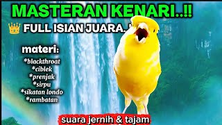TERBUKTI AMPUH!! Masteran burung kenari full isian super mewah