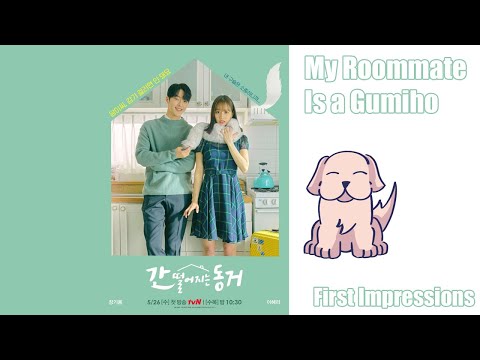 Top My Roommate Is A Gumiho Review:  Should You Watch?