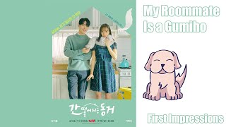 My Roommate is a Gumiho | K-Drama First Impressions