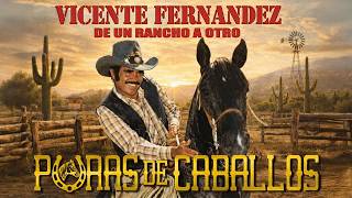 Vicente Fernández – Puras de Caballos | Rancheras Clásicas de Rancho