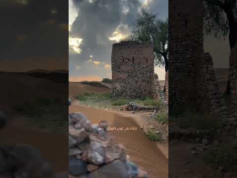 أبيات شعر رائعة عن الإنسان وغدره ومكره خيانة غدر الصحاب    
