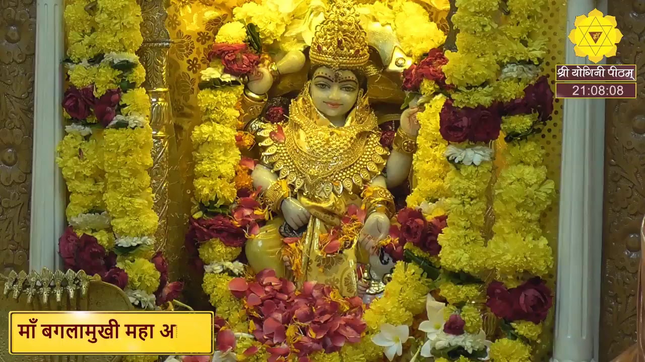 माँ बगलामुखी आरती पूजन कवच एवं सिद्ध मंत्रों का पाठ एवं लाइव दर्शन करिये