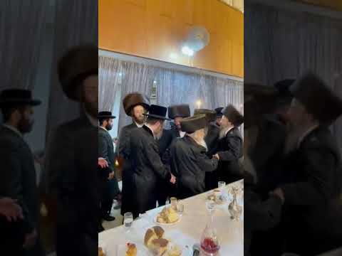 כ"ק אדמו"ר מסאדיגורא ביים שמחת החתונה בבית זוויהעל- ערלוי
