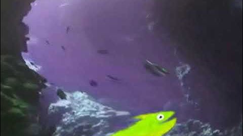 (REQUESTED) Sample Video in Sponge Effect 90.0