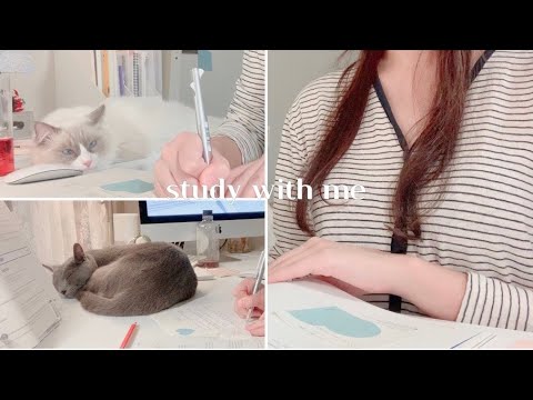 STUDY WITH ME <strong>AT</strong> HOME  집에서 같이 저녁공부해요 연필소리 <strong>ASMR</strong> | 고양이랑 같이 공부해요 | 공시생스터디윗미