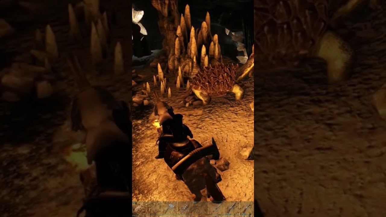 Beware the Ninja Caving Turtle - Subscriber Requested 