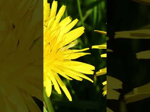 كيف تحافظين على زواجك 2 قوة المرأة في عقلها و هدوءها