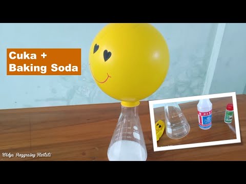Eksperimen cuka dan baking soda | Science Experiment