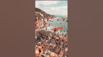 دقيقة من القرآن الكريم بصوت الشيخ ماهر المعيقلي سورة المائدة #قرآن #religion #قرآن_كريم #قران