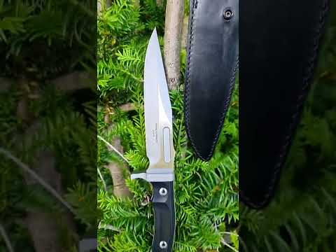Rambo last blood