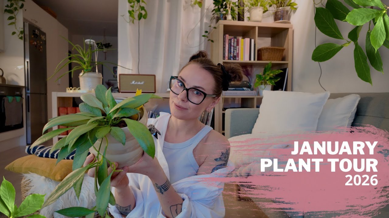 Январская экскурсия по растениям 🤍🌿 Зимние потери и уютная атмосфера