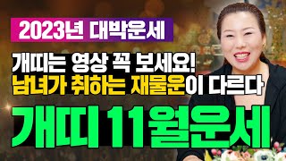 2023년 양력11월 개띠운세개띠는 영상 꼭 보세요! 남녀가 취하는 재물운이 다르다! [인천용한점집 청화신당…