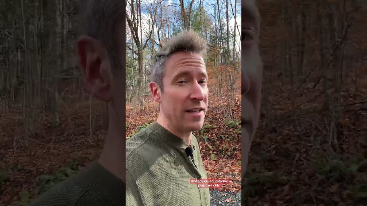 5 индексных фондов, которые я бы купил и держал вечно 