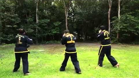 EE DEGREE PATTERN CHOI KWANG DO!