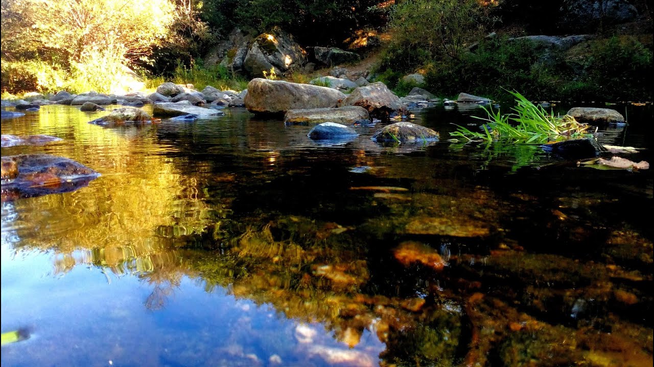 –2019– Oрк Изгрев