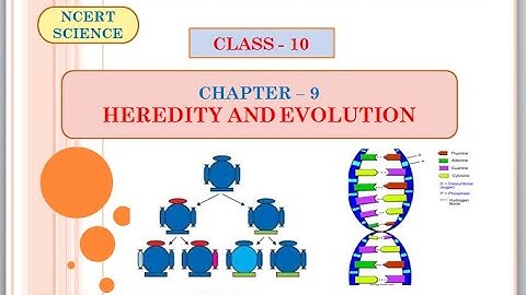 Class-10 Chapter-9| Heredity and evolution (Part-2)| Evolution Part