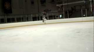 Xtreme Ice Skating - Fakie 360° and Fakie 540°