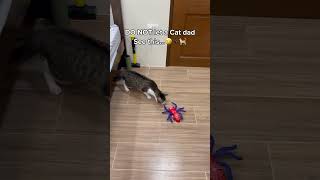 Do NOT send this near a cat dad tonight