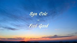 Syn Cole - Feel Goods