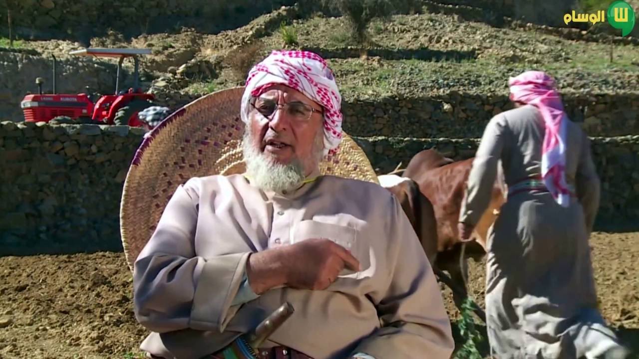 البر الأسمري من الزراعة للحصاد