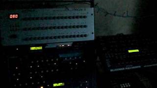 Polymorph Sequence I