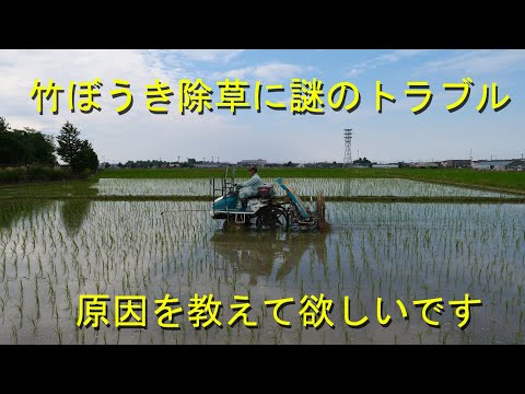 竹ぼうき除草4回目でなぜか限界に・梅雨前にテンコ盛りの1日