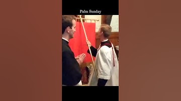 Thumbnail of 🌿🙏🌿 Palm Sunday