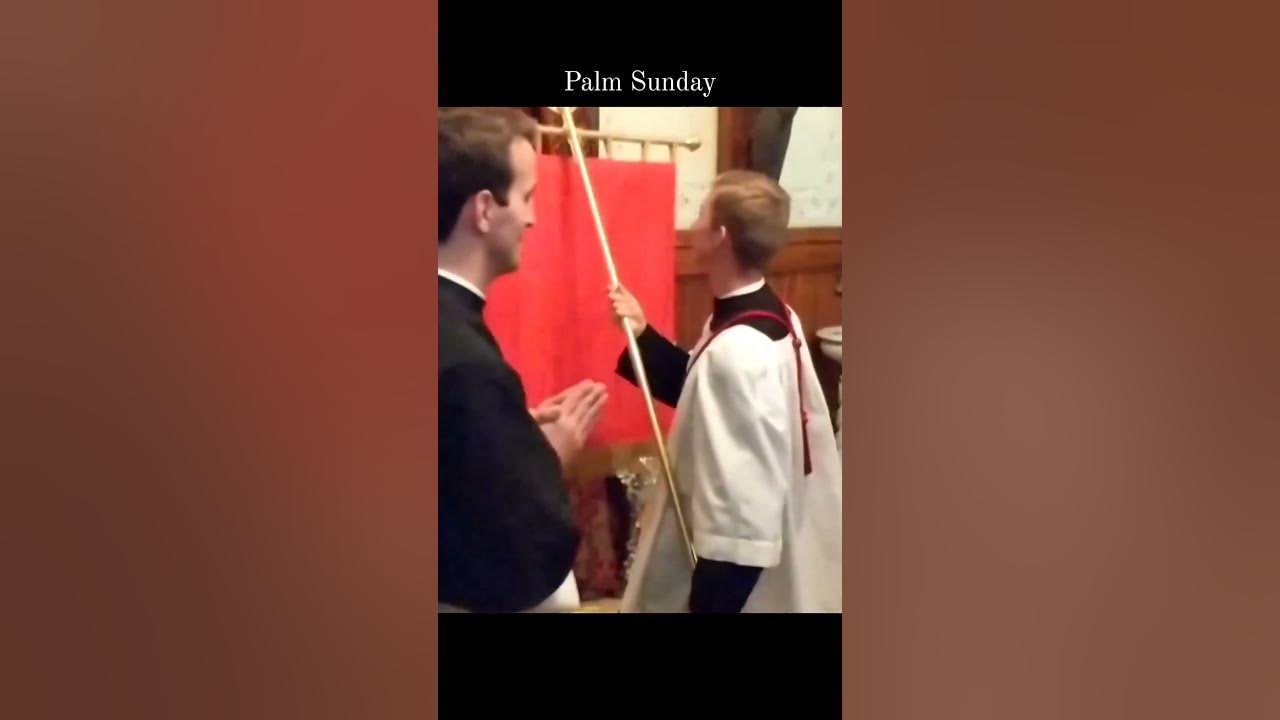 ๐ฟ๐๐ฟ Palm Sunday ๐ฟ๐๐ฟ Palm Sunday