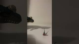 #dinosaur #dinosaurtoys #stopmotion #gamtng #fyp #shorts