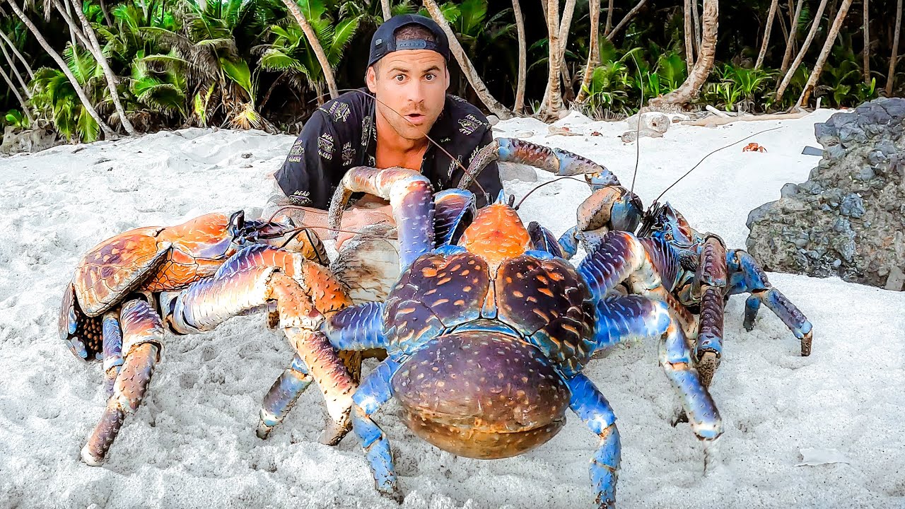 Exploring For Giant Coconut Crabs - Are They Man Eaters? - Go IT