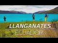 Parque Nacional LLANGANATES  Ecuador ¿COMO LLEGAR? + Pesca de TRUCHAS en la Sierra /Laguna PISAYAMBO