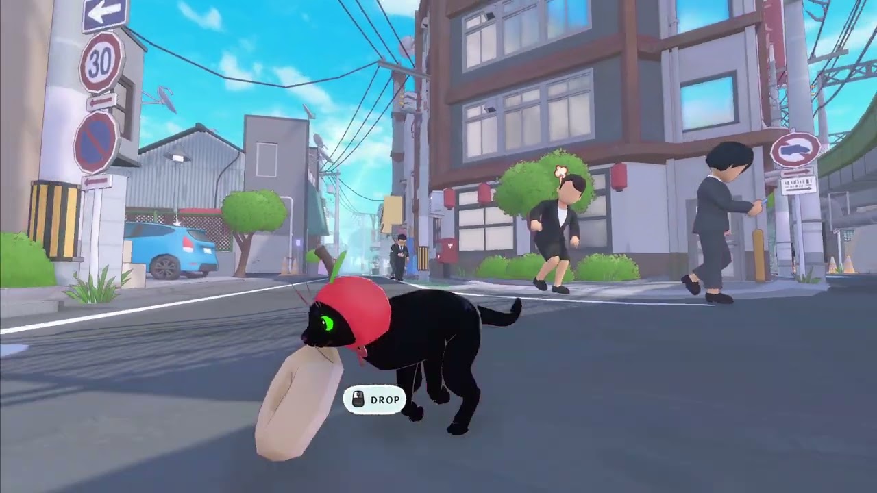 welcome to big kitty big city